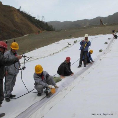 美標(biāo)土工膜廠家 高密度聚乙烯土工膜 潤(rùn)澤土工