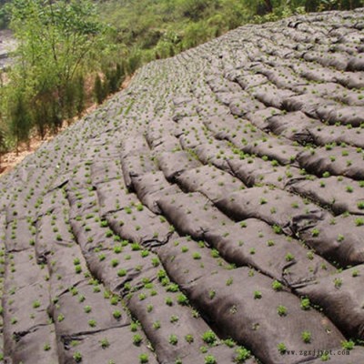 森泰生態(tài)袋 植生帶 pp生態(tài)袋 生態(tài)袋廠家