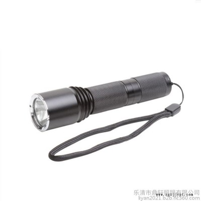 鼎軒照明YJ1010ALED固態(tài)微型強(qiáng)光防爆電筒充電器電池配件白光照明