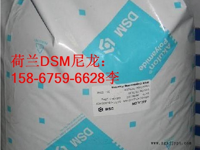 荷蘭DSM-2