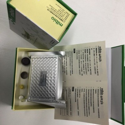 人游離原卟啉(FEP)ELISA kit**服務