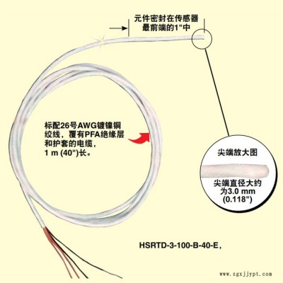 OMEGA/歐米伽 柔韌的密封PFA RTD傳感器 抗潮氣和腐蝕密封 HSRTD-3-100-A-40-E