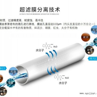 UF超濾膜  PVDF超濾膜，PVDF材質(zhì)膜絲  柱式超濾膜，替代2860