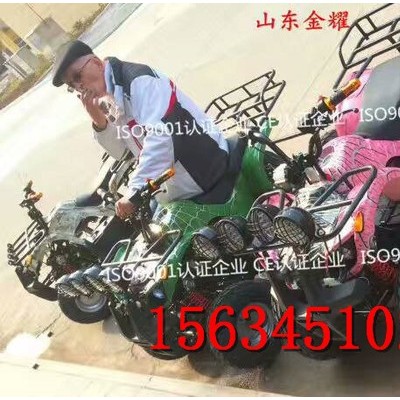 景區(qū)農(nóng)場游樂卡丁車 大型卡丁車 越野卡丁車 動力強(qiáng)悍越野輪胎