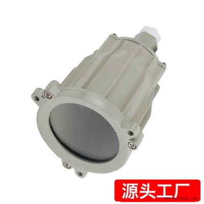 防爆視孔燈 BSD96化學容器LED視孔燈 12V24V36V220V反應(yīng)釜視鏡燈