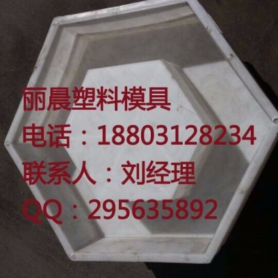 鑫麗晨模具制造高鐵護坡模具