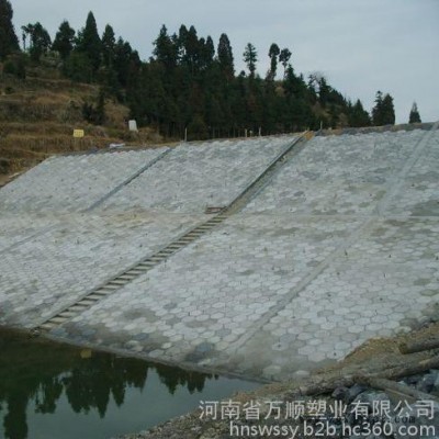 高速高鐵水庫河道機(jī)場護(hù)坡空心實(shí)心六棱塊六角磚塑料模具地磚模具 六角護(hù)坡模具