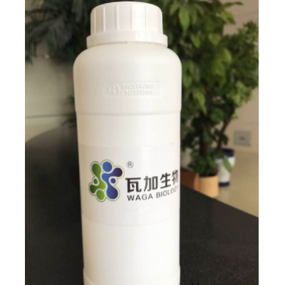 北京通用粉末涂料抗菌劑哪家專業(yè) 客戶至上 上海瓦加生物科技供應(yīng)