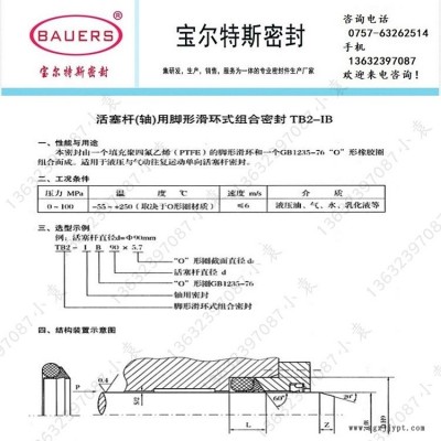 活塞桿軸用腳形滑環(huán)式組合密封TB2-IB 腳型滑環(huán)TB2-IB