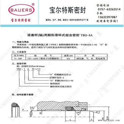 活塞桿軸用腳形滑環(huán)式組合密封TB2-IA 超高壓密封圈TB2-IA車氏密封