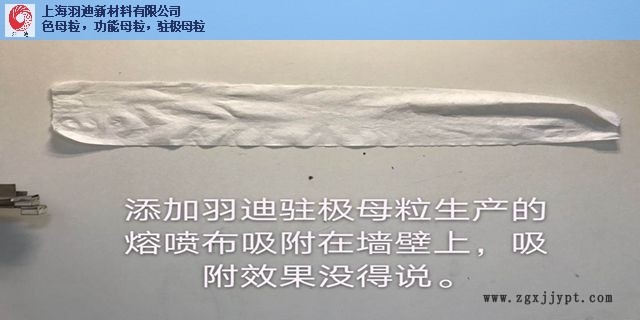 上海高質(zhì)量駐極母粒以客為尊